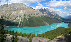 Peyto Lake on the Icefield Parkway