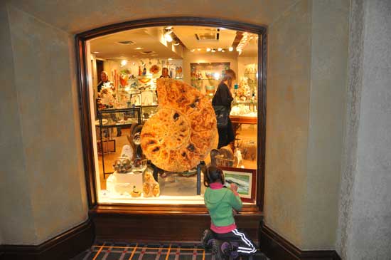 Fossil Gemstone Gallery in Banff Springs Hotel