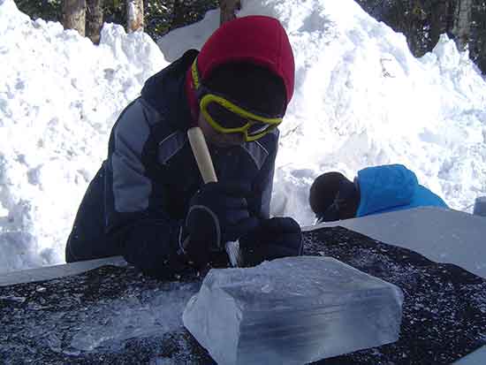 Lake Louse Winter Activity